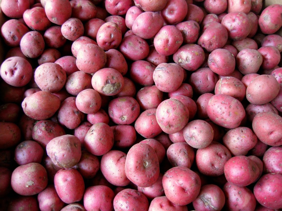 Philadelphia Italian Market, le marché italien de Philadelphie