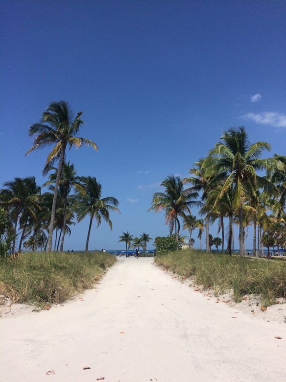 Key Biscayne Beach