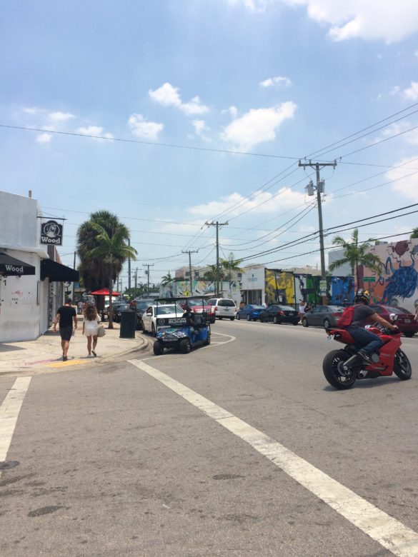 Wynwood Walls Art District Miami